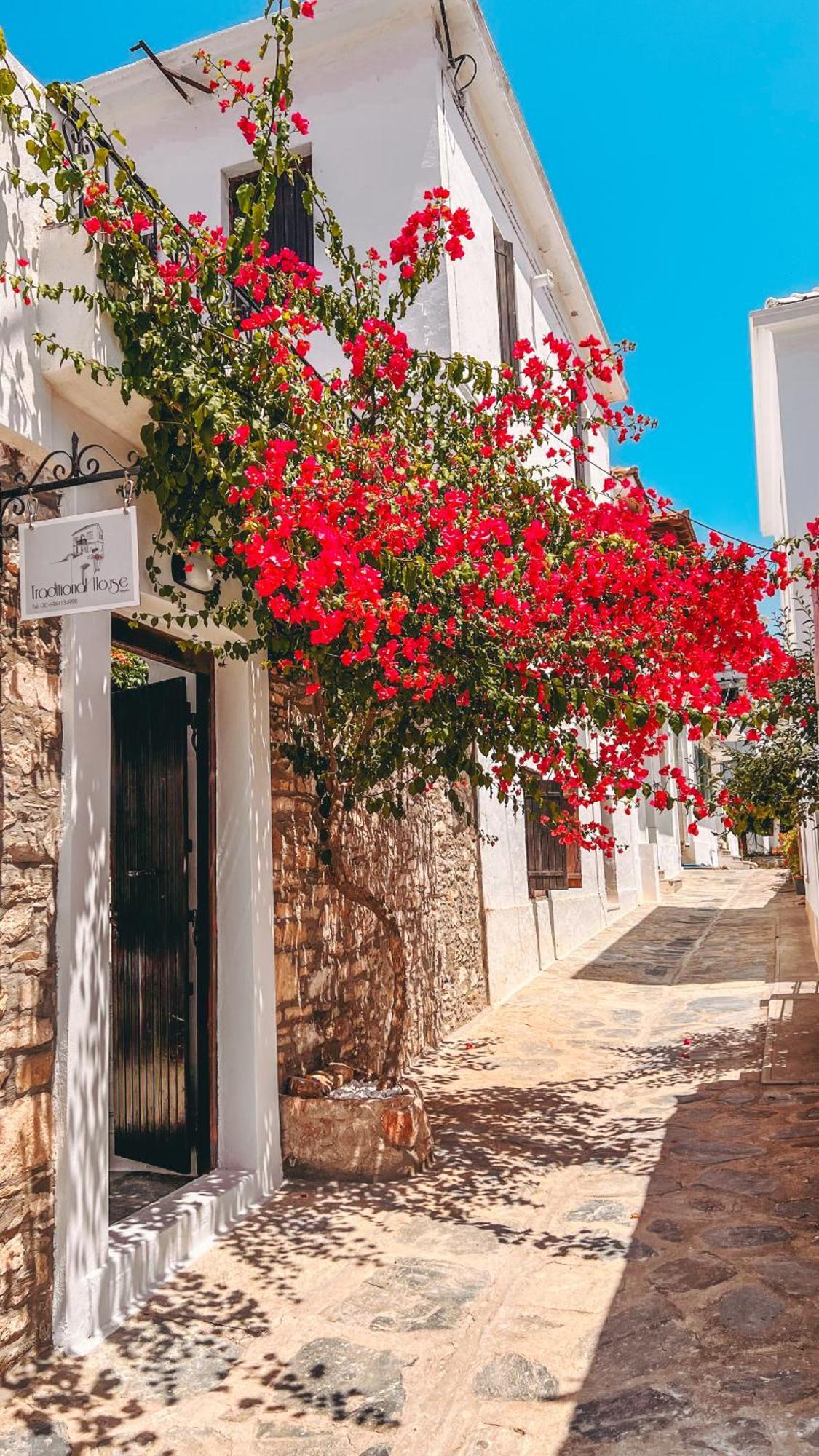 Traditional House Skopelos Exterior foto